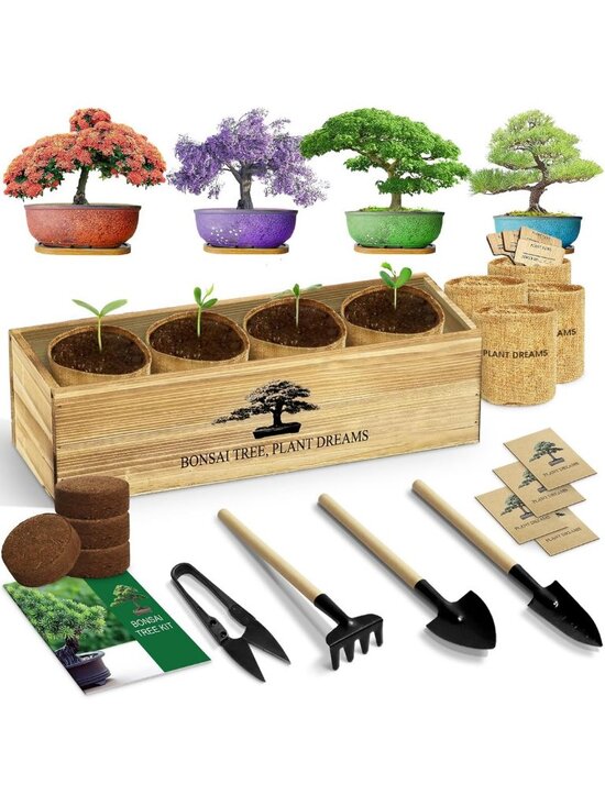 Other - Complete Bonsai Tree Growing Kit - Perfect Gardening Gift for Plant Lovers